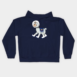 Space Llama Kids Hoodie